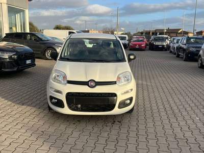 Fiat Panda 1.3 MJT 95 CV S&S Easy Bianco usata Monte San Savino