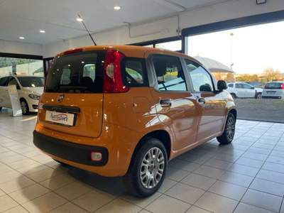 Fiat Panda 1.2 Easy s&s 69cv my19 Arancione usata Alessandria