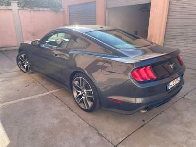 Ford Mustang ecoboost 2.3 55 y Grigio usata Collegno
