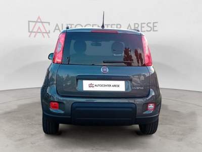 Fiat Panda 1.0 FireFly S&S Hybrid usata CARONNO PERTUSELLA