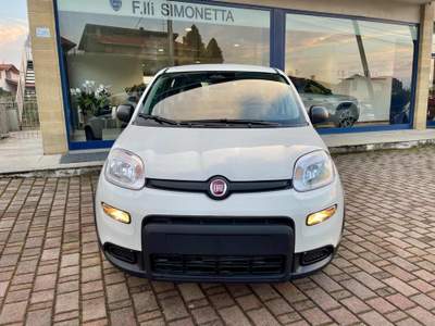 Fiat Panda 1.0 FireFly S&S Hybrid - KM0 Bianco usata Cadrezzate con Osmate
