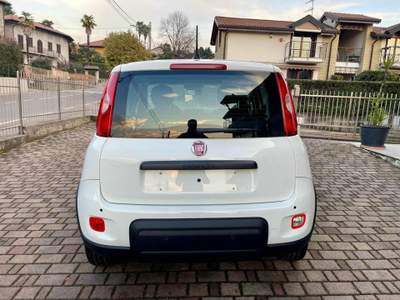 Fiat Panda 1.0 FireFly S&S Hybrid - KM0 Bianco usata Cadrezzate con Osmate
