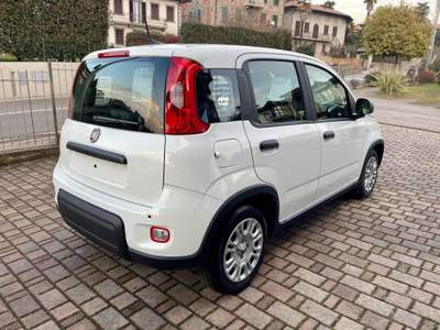 Fiat Panda 1.0 FireFly S&S Hybrid - KM0 Bianco usata Cadrezzate con Osmate