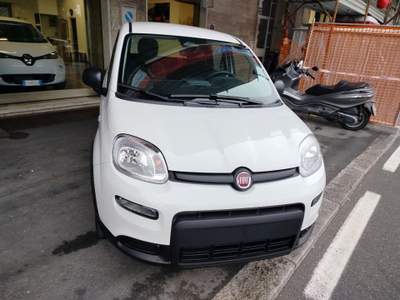 Fiat Panda 1.0 FireFly S&S Hybrid KM 0 Bianco usata Genova