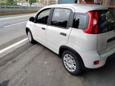 Fiat Panda 1.0 FireFly S&S Hybrid KM 0 Bianco usata Genova