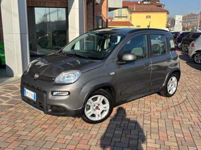 Fiat Panda 1.0 FireFly S&S Hybrid City Life Grigio usata Guarene