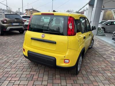 Fiat Panda 1.0 FireFly S&S Hybrid Giallo usata Guarene