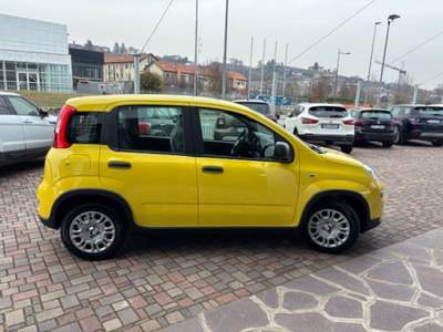 Fiat Panda 1.0 FireFly S&S Hybrid Giallo usata Guarene