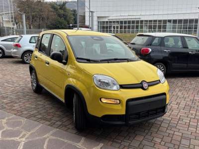 Fiat Panda 1.0 FireFly S&S Hybrid Giallo usata Guarene