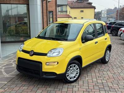 Fiat Panda 1.0 FireFly S&S Hybrid Giallo usata Guarene