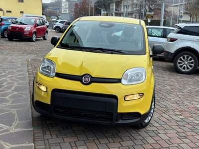 Fiat Panda 1.0 FireFly S&S Hybrid Giallo usata Guarene