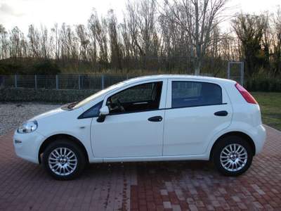 Fiat Punto 1.4 8V 5 porte Natural Power Bianco usata Rimini