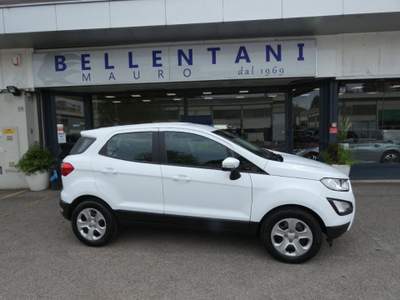 Ford EcoSport 1.0 EcoBoost 100 CV Plus Bianco usata MODENA