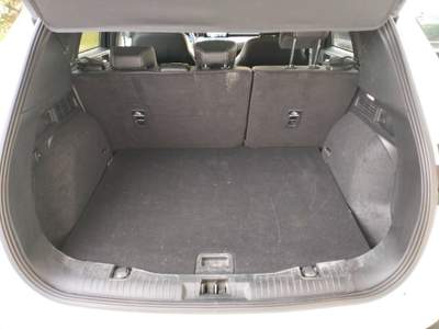 Ford Kuga 1.5 EcoBoost 150 CV 2WD ST-Line Bianco usata Camisano Vicentino