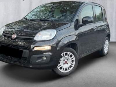 Fiat Panda 1.2 Easy Nero usata Castelnuovo Rangone