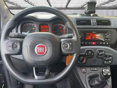 Fiat Panda 1.2 Easy Nero usata Castelnuovo Rangone
