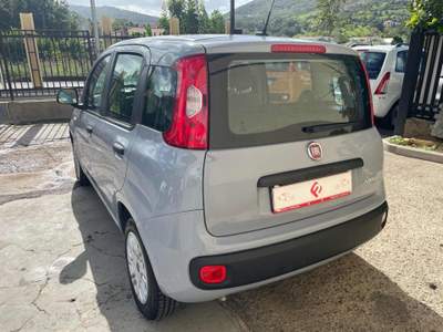 Fiat Panda 1.0 FireFly S&S Hybrid Grigio usata AGROPOLI