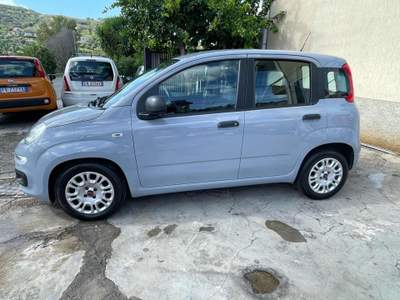 Fiat Panda 1.0 FireFly S&S Hybrid Grigio usata AGROPOLI