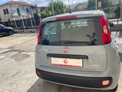 Fiat Panda 1.0 FireFly S&S Hybrid Grigio usata AGROPOLI