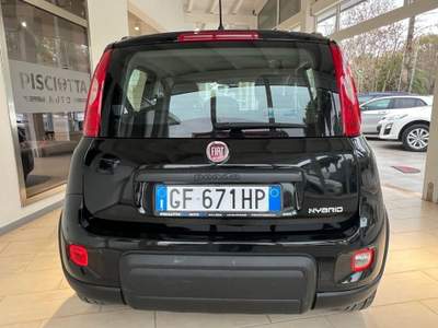 Fiat Panda 1.0 FireFly S&S Hybrid City Life Nero usata Castelvetrano