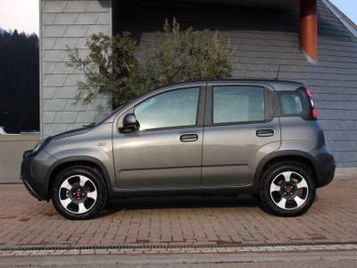 Fiat Panda 1.0 Hybrid City Cross Clima auto-DAB 7" Grigio usata Denno