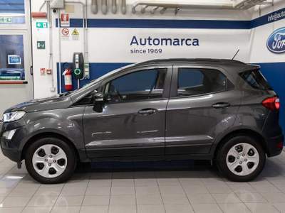 Ford EcoSport 1.0 EcoBoost 100 CV Plus Grigio usata Silea