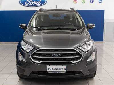 Ford EcoSport 1.0 EcoBoost 100 CV Plus Grigio usata Silea