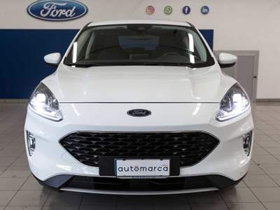 Ford Kuga 1.5 EcoBoost 120 CV 2WD Titanium Business Bianco usata Silea