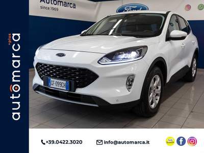 Ford Kuga 1.5 EcoBoost 120 CV 2WD Titanium Business Bianco usata Silea