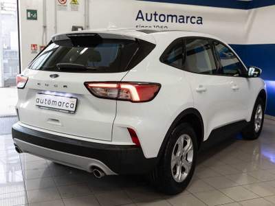 Ford Kuga 1.5 EcoBoost 120 CV 2WD Titanium Business Bianco usata Silea
