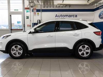 Ford Kuga 1.5 EcoBoost 120 CV 2WD Titanium Business Bianco usata Silea
