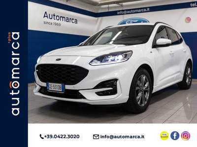 Ford Kuga 2.0 EcoBlue Hybrid 150 CV 2WD ST-Line Bianco usata Silea