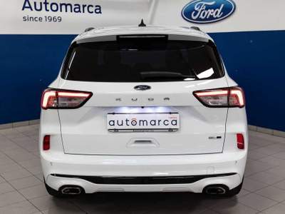 Ford Kuga 2.0 EcoBlue Hybrid 150 CV 2WD ST-Line Bianco usata Silea