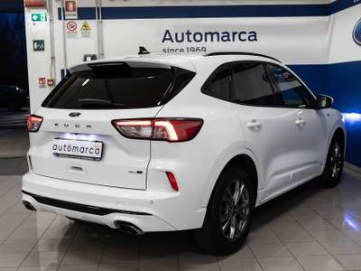 Ford Kuga 2.0 EcoBlue Hybrid 150 CV 2WD ST-Line Bianco usata Silea