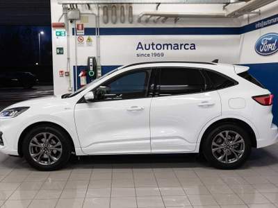 Ford Kuga 2.0 EcoBlue Hybrid 150 CV 2WD ST-Line Bianco usata Silea