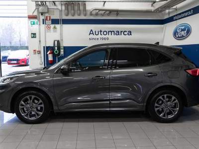 Ford Kuga 2.5 Full Hybrid 190 CV CVT 2WD ST-Line Grigio usata Silea