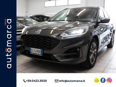 Ford Kuga 1.5 EcoBoost 150 CV 2WD ST-Line Grigio usata Silea
