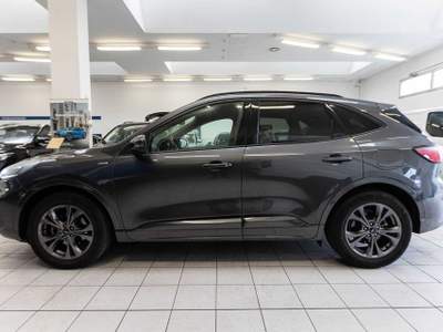 Ford Kuga 1.5 EcoBoost 150 CV 2WD ST-Line Grigio usata Silea