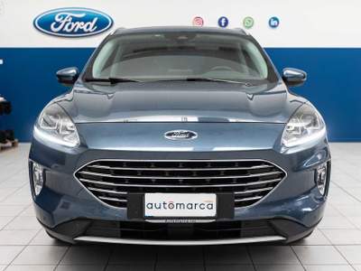 Ford Kuga 1.5 EcoBlue 120 CV 2WD Titanium Blu/Azzurro usata Silea