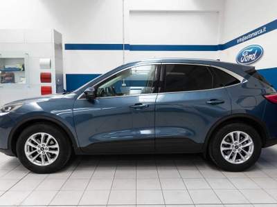 Ford Kuga 1.5 EcoBlue 120 CV 2WD Titanium Blu/Azzurro usata Silea