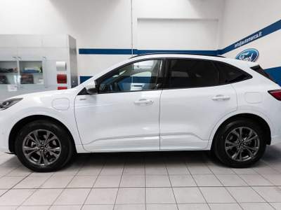 Ford Kuga 2.5 Plug In Hybrid 225 CV CVT 2WD ST-Line PHEV Bianco usata Silea