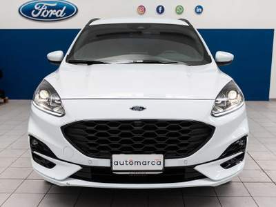 Ford Kuga 2.5 Plug In Hybrid 225 CV CVT 2WD ST-Line PHEV Bianco usata Silea