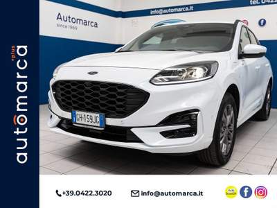 Ford Kuga 2.5 Plug In Hybrid 225 CV CVT 2WD ST-Line PHEV Bianco usata Silea