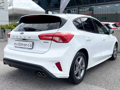Ford Focus 1.5 EcoBlue 120 CV 5p. ST-Line Bianco usata Silea