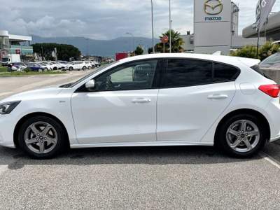 Ford Focus 1.5 EcoBlue 120 CV 5p. ST-Line Bianco usata Silea