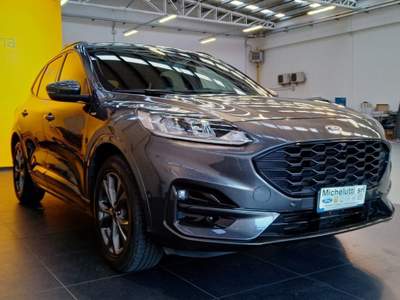 Ford Kuga 1.5 EcoBlue 120 CV aut. ST-Line GUIDA AUTONOMA Grigio usata Gemona del Friuli