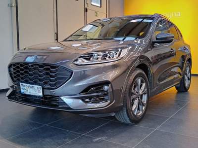 Ford Kuga 1.5 EcoBlue 120 CV aut. ST-Line GUIDA AUTONOMA Grigio usata Gemona del Friuli