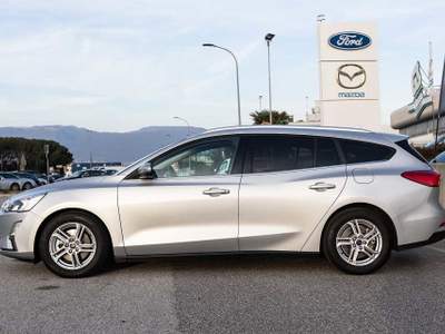 Ford Focus 1.5 EcoBlue 120 CV SW Business Grigio usata Silea