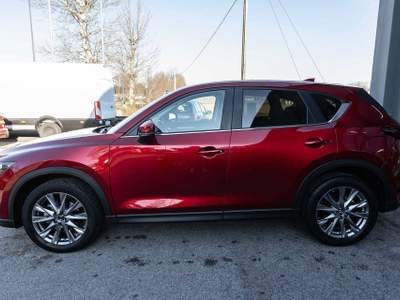Mazda CX-5 2.2L Skyactiv-D 150 CV 2WD Business Rosso usata Silea