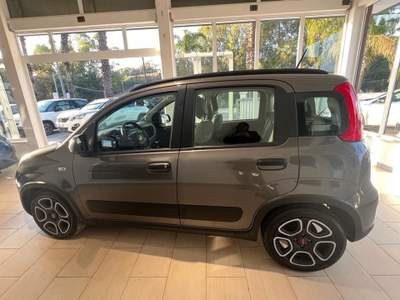 Fiat Panda 1.0 FireFly S&S Hybrid City Life Grigio usata Castelvetrano